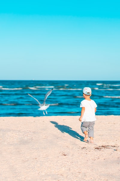 The boy in a white T-shirt and brown shorts stood on the brown sand near the water
